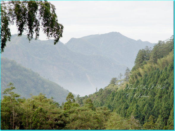 緩慢民宿－天氣雖然陰陰沉沉的，可是山依然是如此迷人