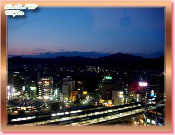 神戶新大谷飯店－夜景