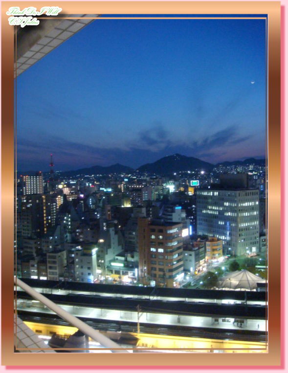 神戶新大谷飯店－夜景