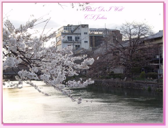 京都－櫻花、流水、夕陽～～