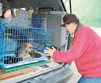 ●每天買陽春麵給流浪犬媽媽吃的老先生，在流浪犬母子被救走時，跟狗媽媽揮手道別。圖／台灣動物緊急救援小組提供