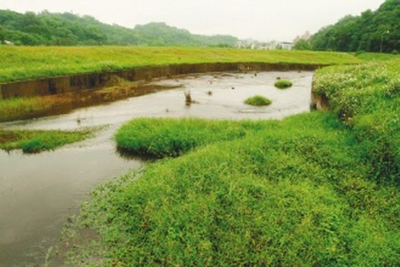 ●被列為國家生技園區用地的二○二兵工廠，經作家張曉風及環保相關團體請命後，行政院決定減少開發面積，並進行濕地復育。聯合報資料照片／記者徐兆玄攝影