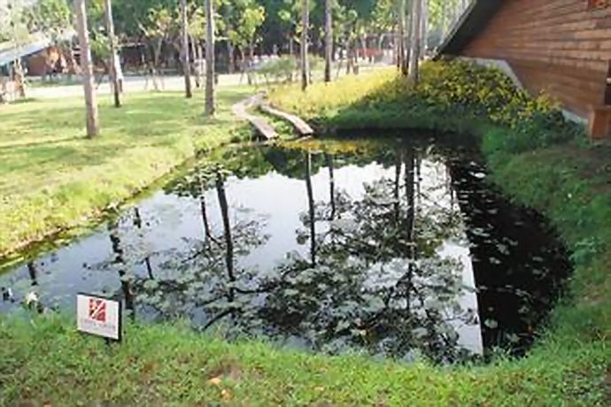 ●花博新生三館的水花園（生態池）。記者潘俊宏／攝影