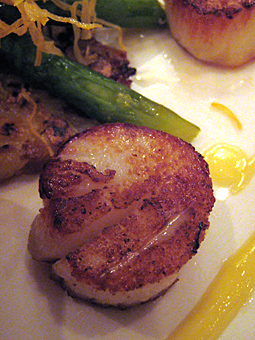 Seared Scallop